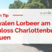 Royaler Lorbeer am Schloss Charlottenburg