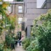 urban gardening an overview